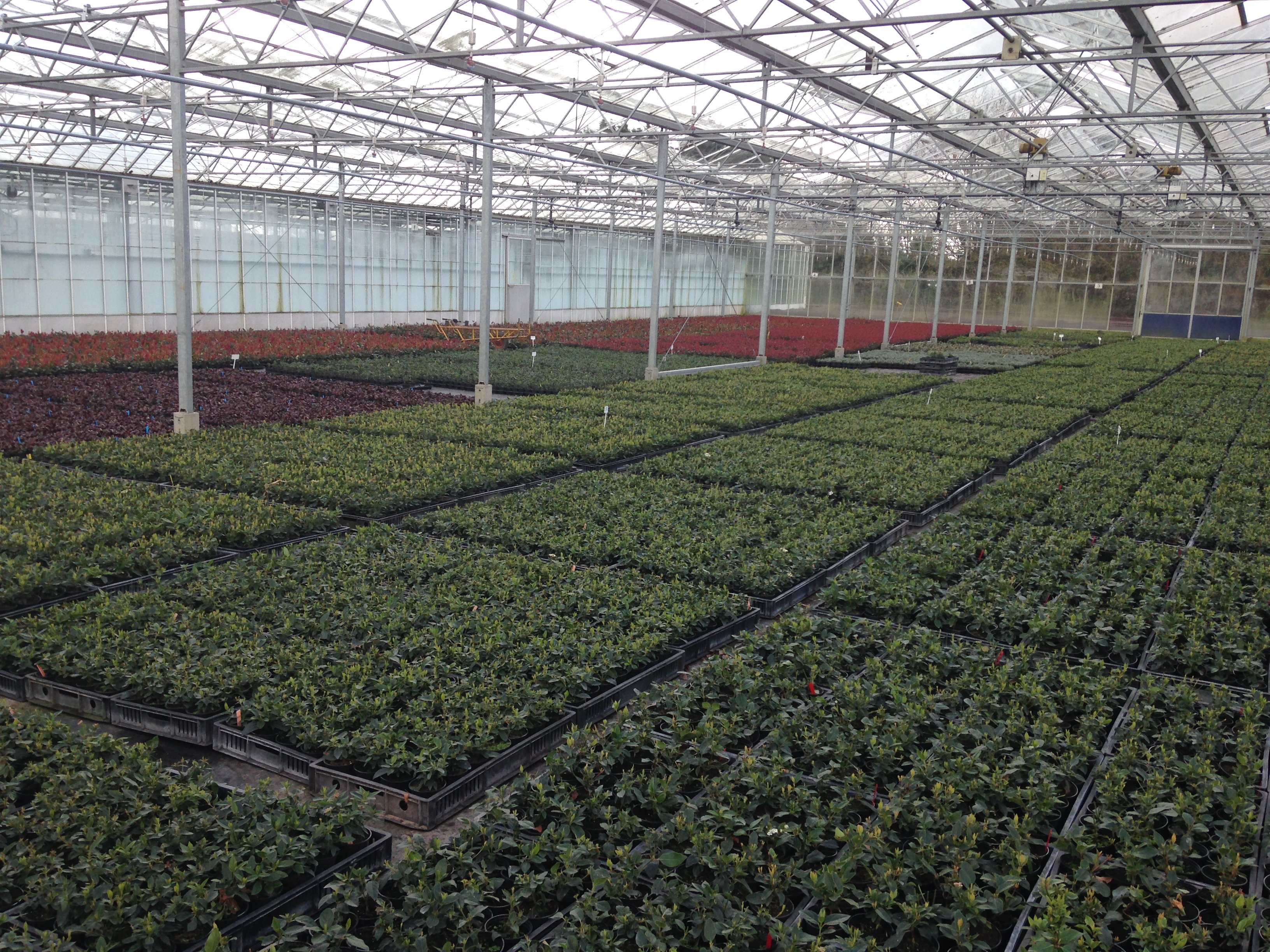 Institute of Horticulture (Wyevale Nurseries)